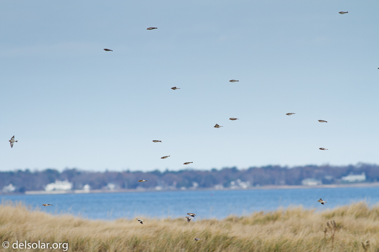 Canon EOS 7D  --  400 mm  --  EF400mm f/5.6L USM  