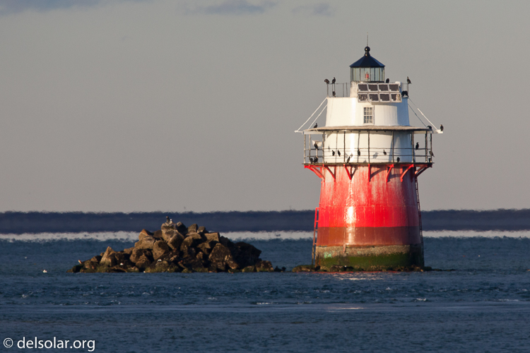 Canon EOS 5D Mark II  --  500 mm  --  EF500mm f/4L IS USM  