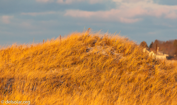 Canon EOS 5D Mark II  --  500 mm  --  EF500mm f/4L IS USM  