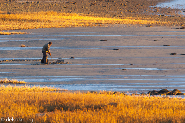 Canon EOS 5D Mark II  --  500 mm  --  EF500mm f/4L IS USM  