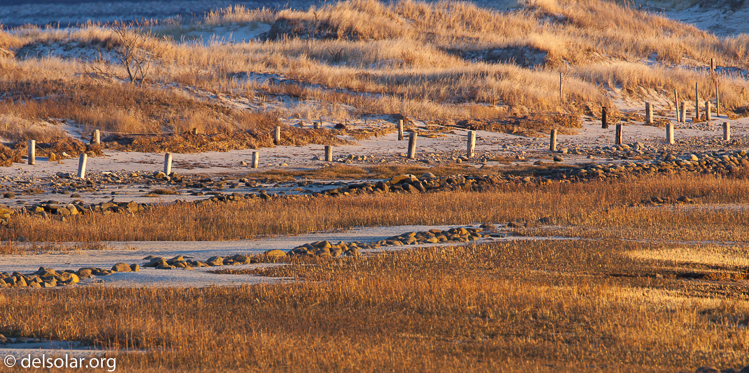 Canon EOS 5D Mark II  --  500 mm  --  EF500mm f/4L IS USM  