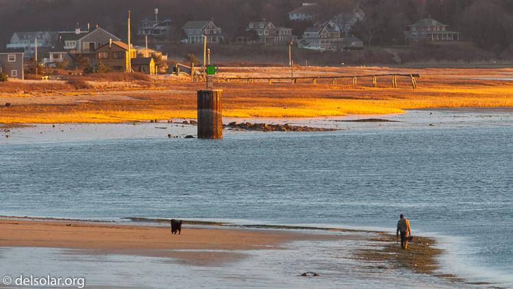 Canon EOS 5D Mark II  --  500 mm  --  EF500mm f/4L IS USM  