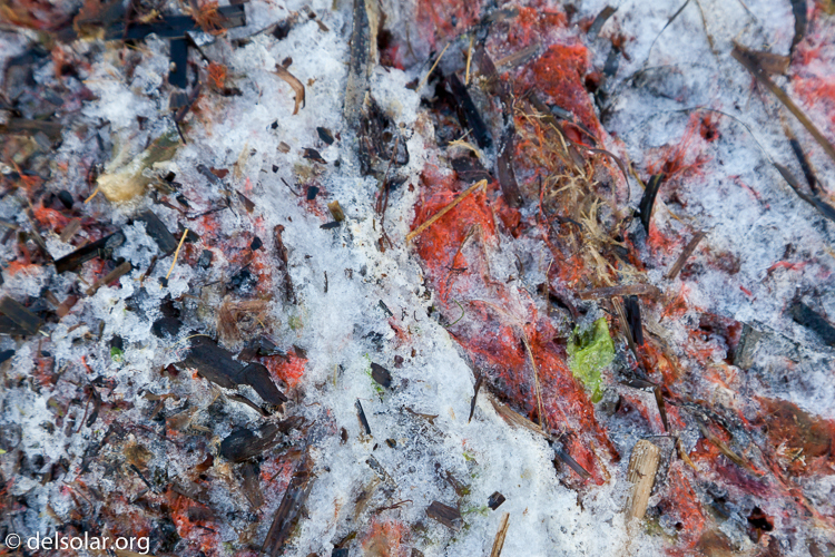 Canon EOS 5D Mark II  --  96 mm  --  EF24-105mm f/4L IS USM  