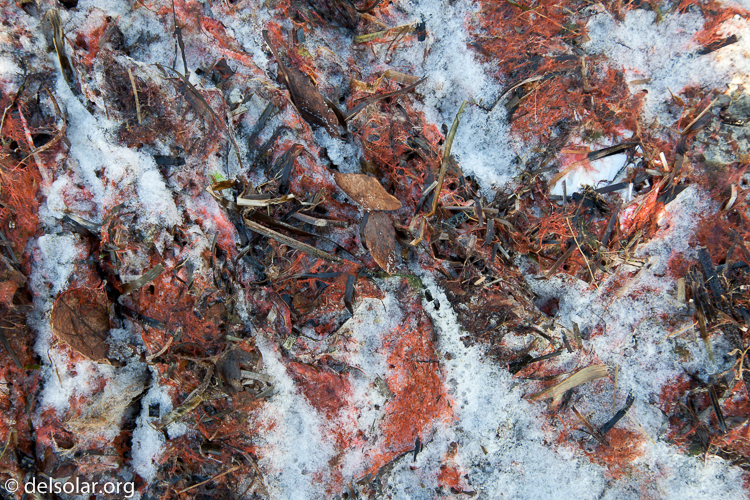 Canon EOS 5D Mark II  --  58 mm  --  EF24-105mm f/4L IS USM  