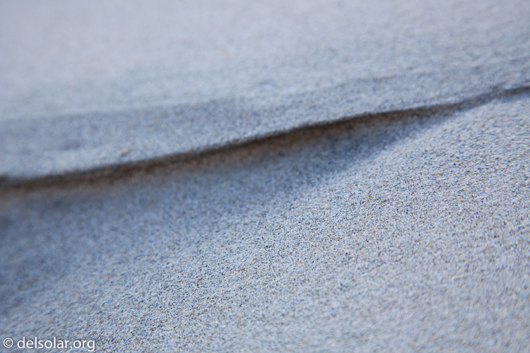 Canon EOS 5D Mark II  --  105 mm  --  EF24-105mm f/4L IS USM  