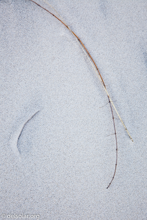 Canon EOS 5D Mark II  --  73 mm  --  EF24-105mm f/4L IS USM  