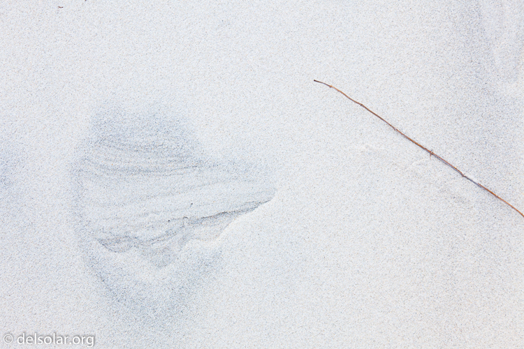 Canon EOS 5D Mark II  --  47 mm  --  EF24-105mm f/4L IS USM  