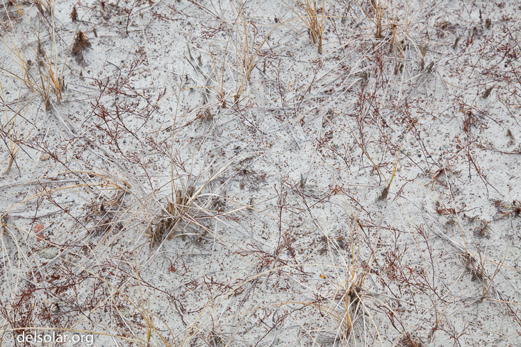 Canon EOS 5D Mark II  --  60 mm  --  EF24-105mm f/4L IS USM  