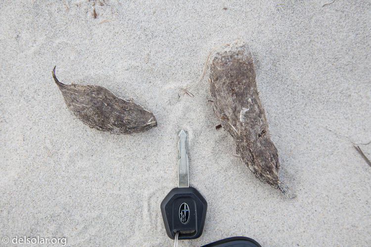 Canon EOS 5D Mark II  --  47 mm  --  EF24-105mm f/4L IS USM  