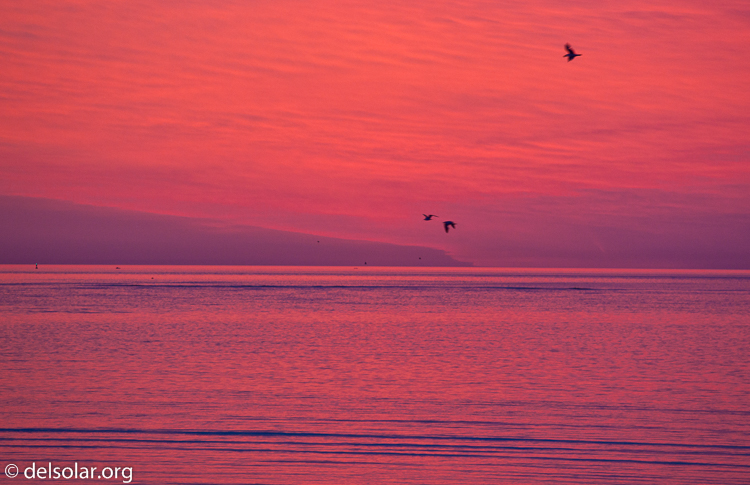 Canon EOS 5D Mark II  --  200 mm  --  EF70-200mm f/4L USM  