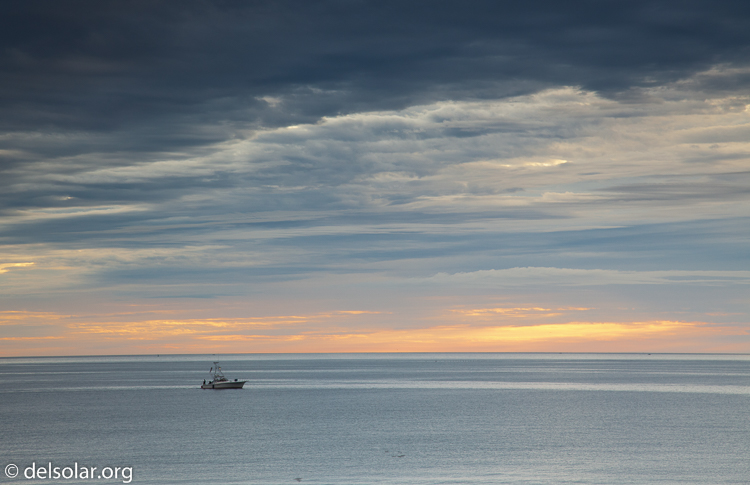 Canon EOS 5D Mark II  --  105 mm  --  EF24-105mm f/4L IS USM  