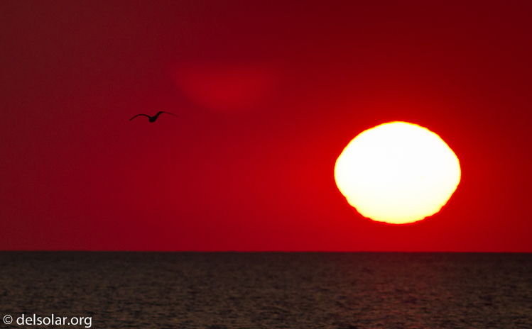 Canon EOS 7D  --  400 mm  --  EF400mm f/5.6L USM  