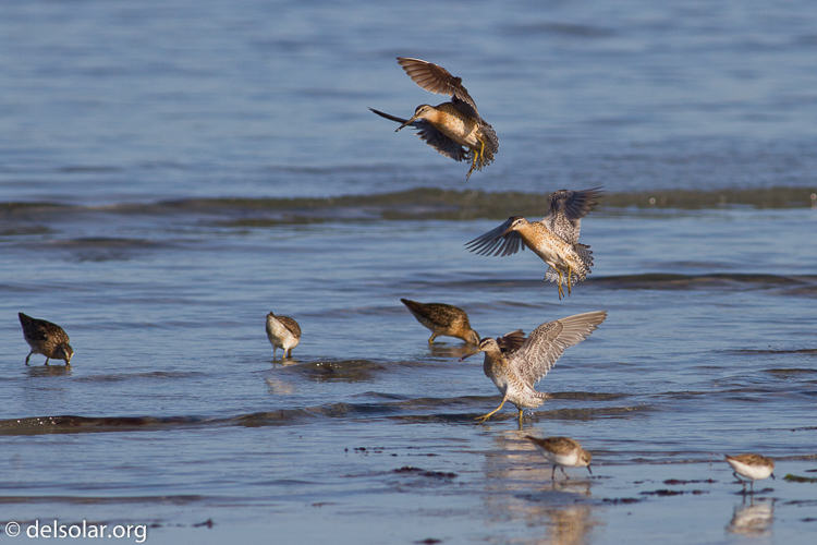 Canon EOS 7D  --  400 mm  --  EF400mm f/5.6L USM  