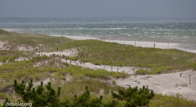 Canon EOS 5D Mark II  --  200 mm  --  EF70-200mm f/4L USM  