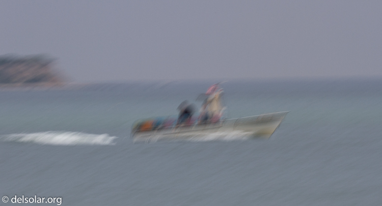 Canon EOS 7D  --  500 mm  --  EF500mm f/4L IS USM  