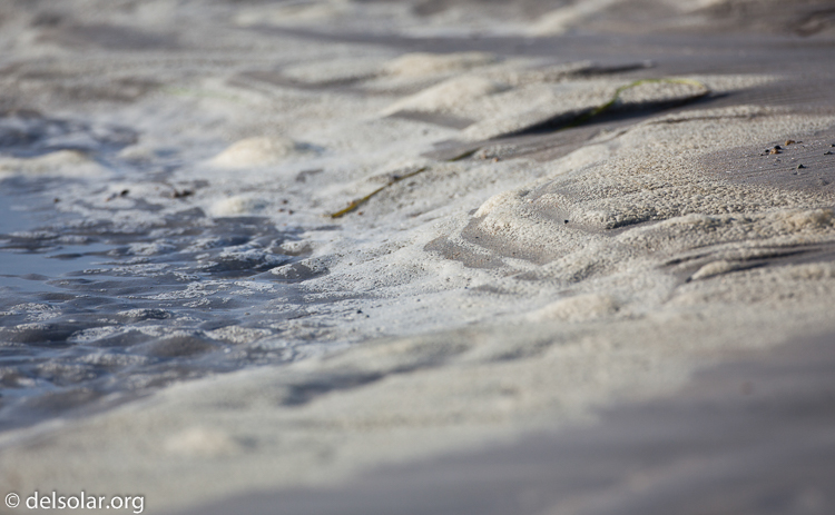 Canon EOS 5D Mark II  --  500 mm  --  EF500mm f/4L IS USM  