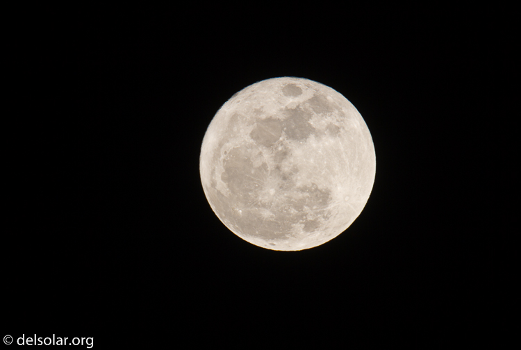 Canon EOS 7D  --  500 mm  --  EF500mm f/4L IS USM  