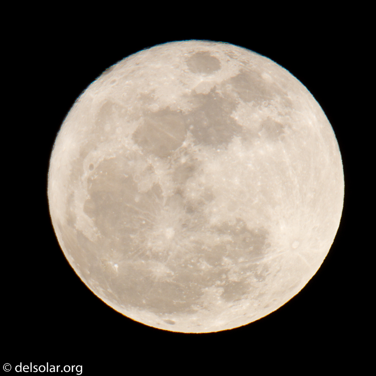 Canon EOS 7D  --  500 mm  --  EF500mm f/4L IS USM  