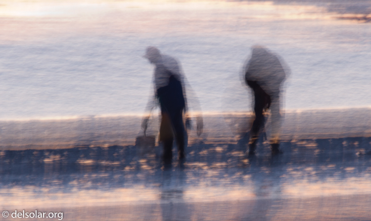 Canon EOS 7D  --  500 mm  --  EF500mm f/4L IS USM  