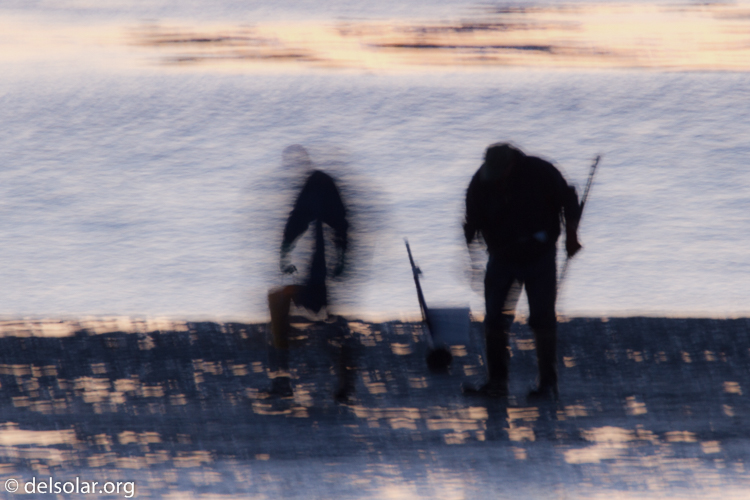 Canon EOS 7D  --  500 mm  --  EF500mm f/4L IS USM  