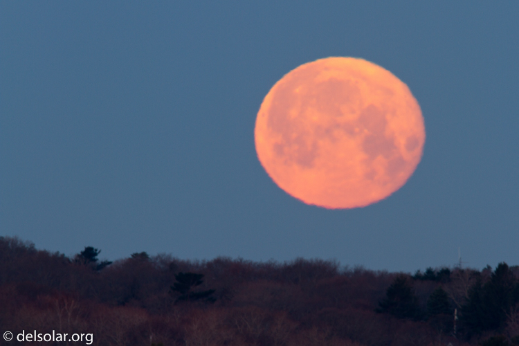 Canon EOS 7D  --  500 mm  --  EF500mm f/4L IS USM  