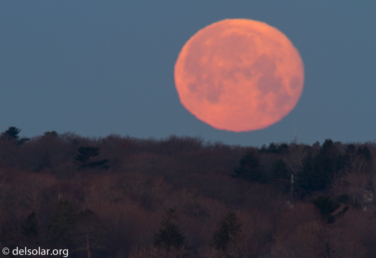 Canon EOS 7D  --  500 mm  --  EF500mm f/4L IS USM  