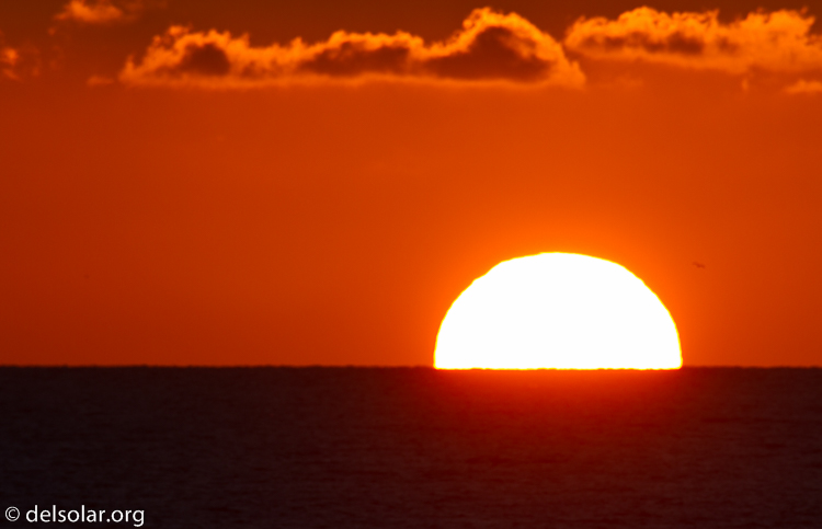 Canon EOS 7D  --  500 mm  --  EF500mm f/4L IS USM  