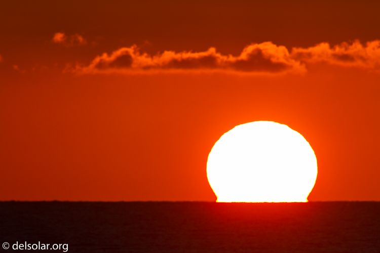 Canon EOS 7D  --  500 mm  --  EF500mm f/4L IS USM  