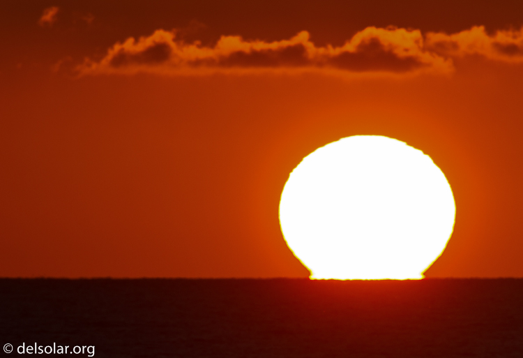 Canon EOS 7D  --  500 mm  --  EF500mm f/4L IS USM  