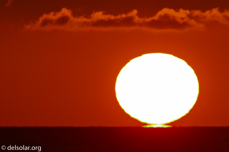 Canon EOS 7D  --  500 mm  --  EF500mm f/4L IS USM  