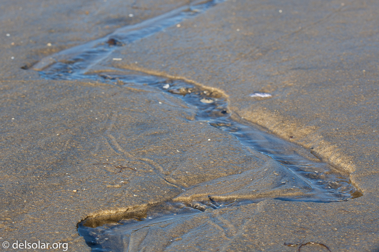 Canon EOS 5D Mark II  --  100 mm  --  EF100mm f/2.8 Macro USM  