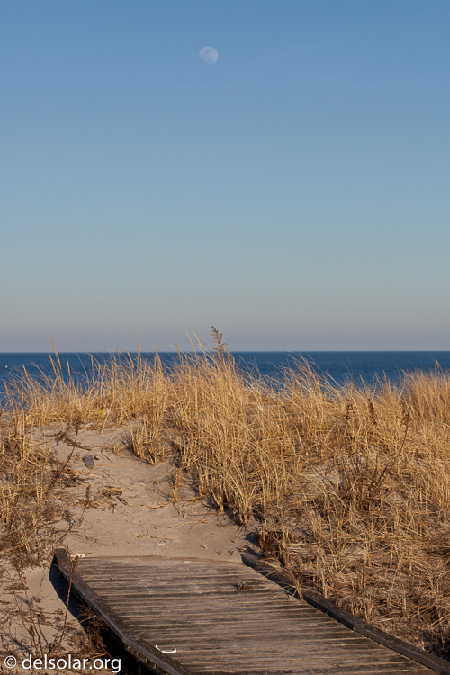 Canon EOS 5D Mark II  --  100 mm  --  EF100mm f/2.8 Macro USM  