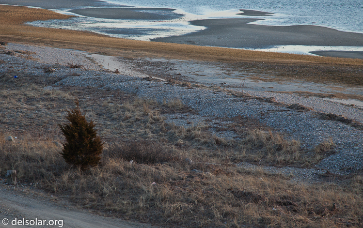 Canon EOS 5D Mark II  --  105 mm  --  EF24-105mm f/4L IS USM  