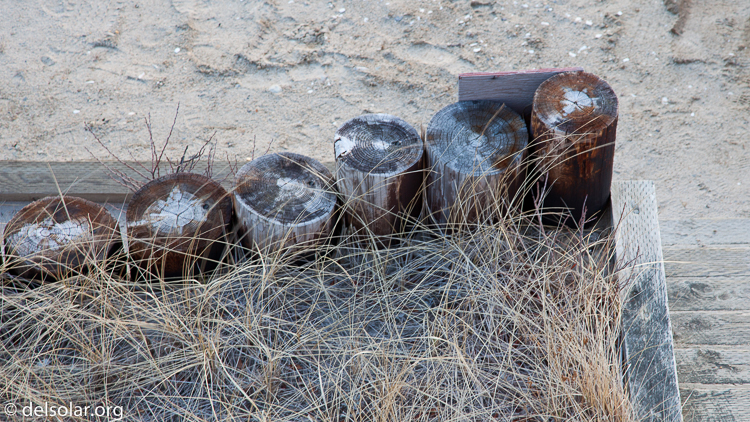 Canon EOS 5D Mark II  --  105 mm  --  EF24-105mm f/4L IS USM  