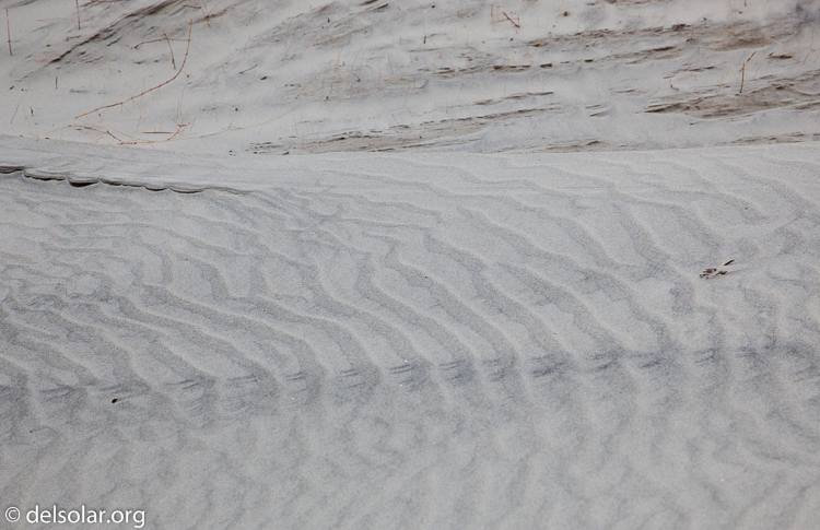 Canon EOS 5D Mark II  --  95 mm  --  EF24-105mm f/4L IS USM  