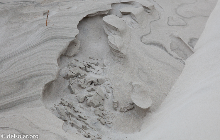 Canon EOS 5D Mark II  --  80 mm  --  EF24-105mm f/4L IS USM  