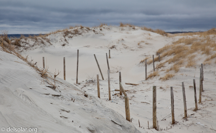 Canon EOS 5D Mark II  --  80 mm  --  EF24-105mm f/4L IS USM  