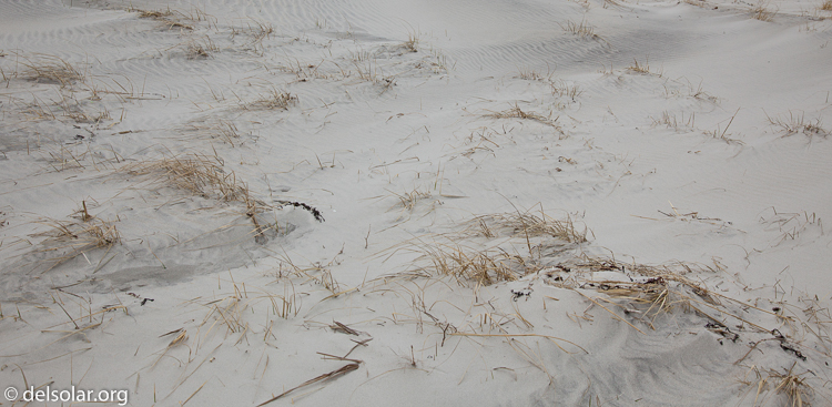 Canon EOS 5D Mark II  --  40 mm  --  EF24-105mm f/4L IS USM  