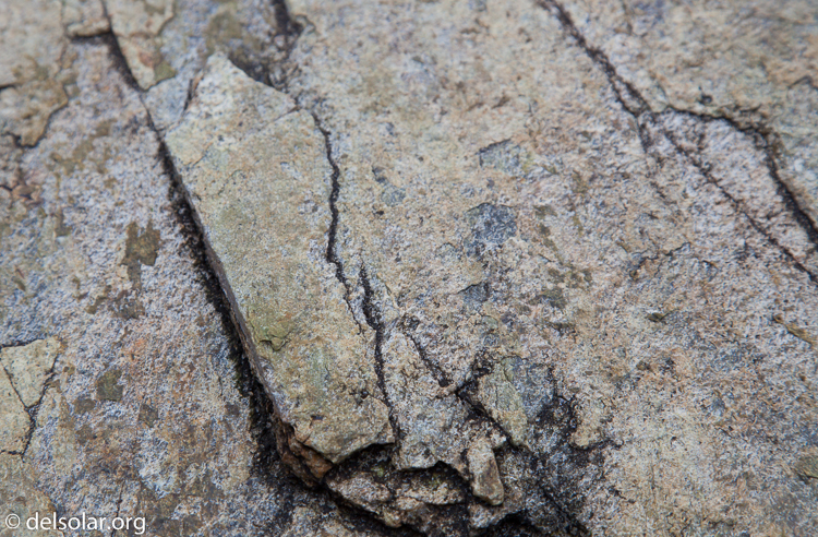 Canon EOS 5D Mark II  --  92 mm  --  EF24-105mm f/4L IS USM  