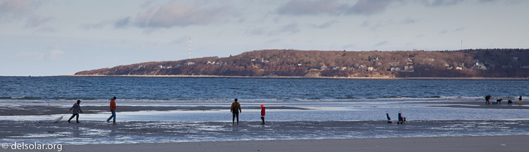 Canon EOS 5D Mark II  --  105 mm  --  EF24-105mm f/4L IS USM  