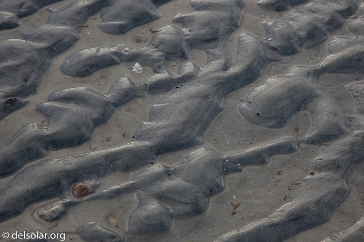 Canon EOS 5D Mark II  --  96 mm  --  EF24-105mm f/4L IS USM  