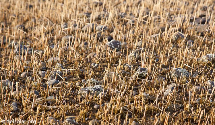 Canon EOS 5D Mark II  --  92 mm  --  EF24-105mm f/4L IS USM  