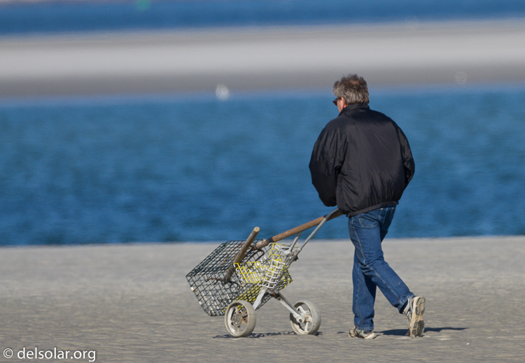 Canon EOS 7D  --  500 mm  --  EF500mm f/4L IS USM  