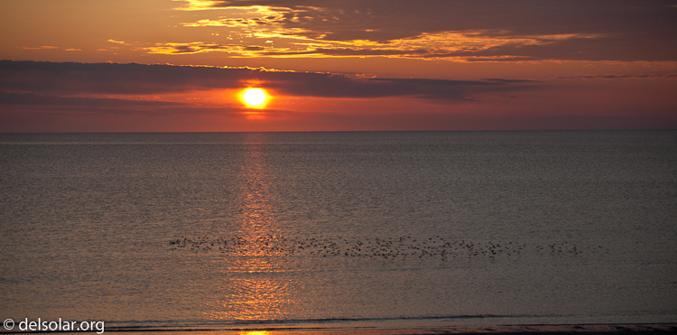 Canon EOS 5D Mark II  --  109 mm  --  EF70-200mm f/4L USM  