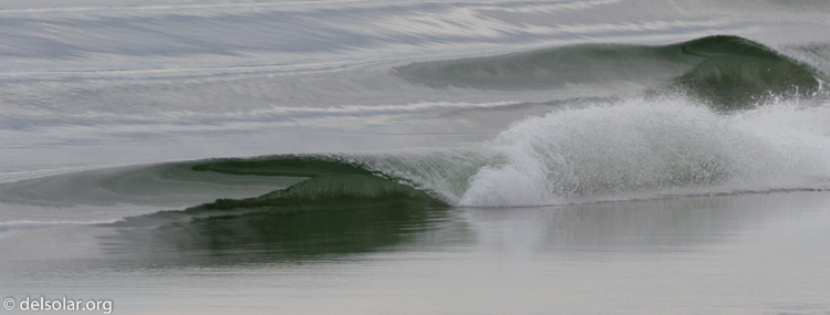 Canon EOS 7D  --  500 mm  --  EF500mm f/4L IS USM  