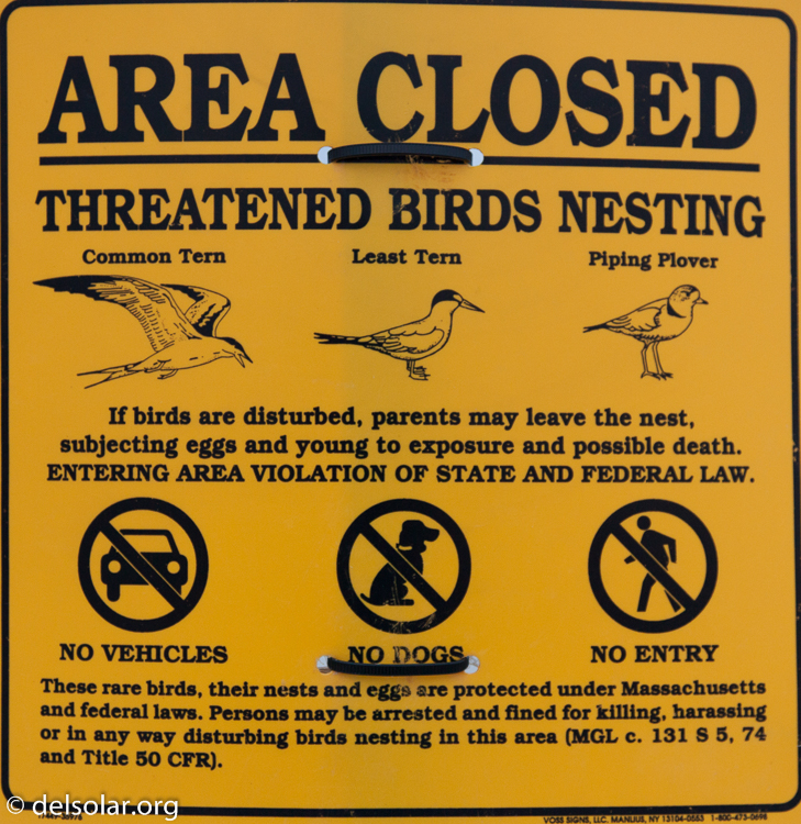 Canon EOS 5D Mark II  --  60 mm  --  EF24-105mm f/4L IS USM  