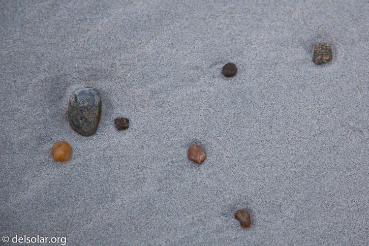 Canon EOS 5D Mark II  --  105 mm  --  EF24-105mm f/4L IS USM  