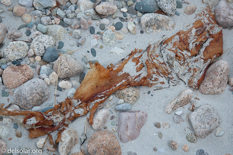 Canon EOS 5D Mark II  --  67 mm  --  EF24-105mm f/4L IS USM  