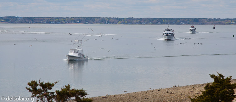 Canon EOS 5D Mark II  --  105 mm  --  EF24-105mm f/4L IS USM  