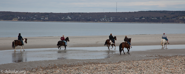 Canon EOS 5D Mark II  --  105 mm  --  EF24-105mm f/4L IS USM  